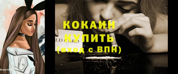 дживик Арсеньев