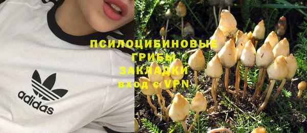 твердый Армянск