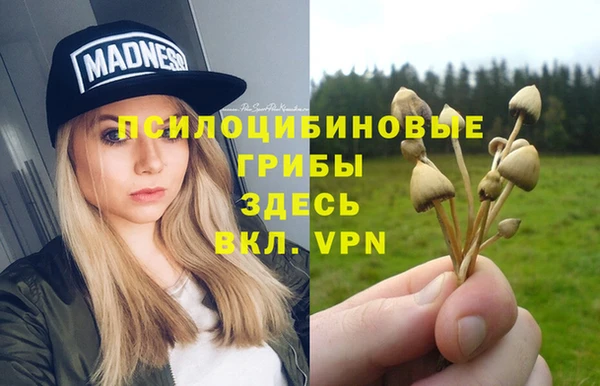 дживик Арсеньев