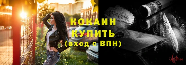 дживик Арсеньев