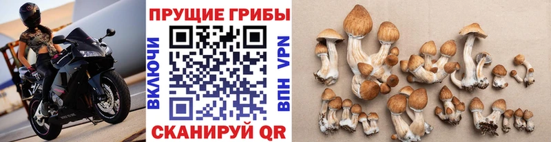 Галлюциногенные грибы Magic Shrooms  наркотики  Зея 
